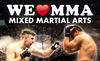 Mehr Informationen zu We Love MMA 2016