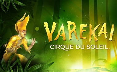  Varekai