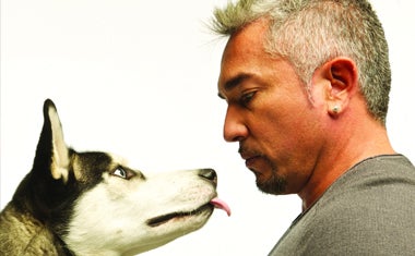 Mehr Informationen zu Cesar Millan