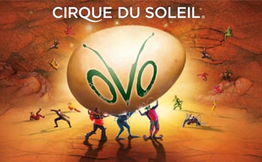 Mehr Informationen zu Cirque du Soleil