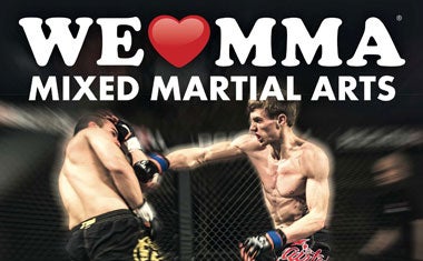 Mehr Informationen zu We love MMA 2017