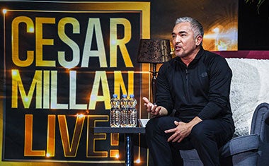 Mehr Informationen zu Cesar Millan