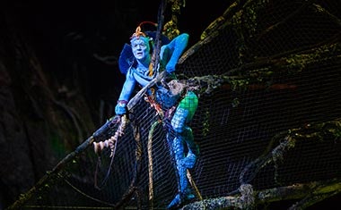 Mehr Informationen zu Cirque du Soleil