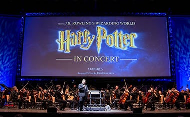 Mehr Informationen zu Harry Potter und der Stein der Weisen