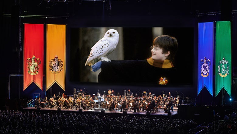 Harry Potter und der Stein der Weisen