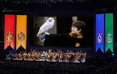 More Info for Harry Potter und der Stein der Weisen