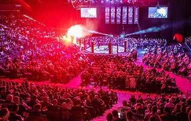 Mehr Informationen zu We Love MMA 