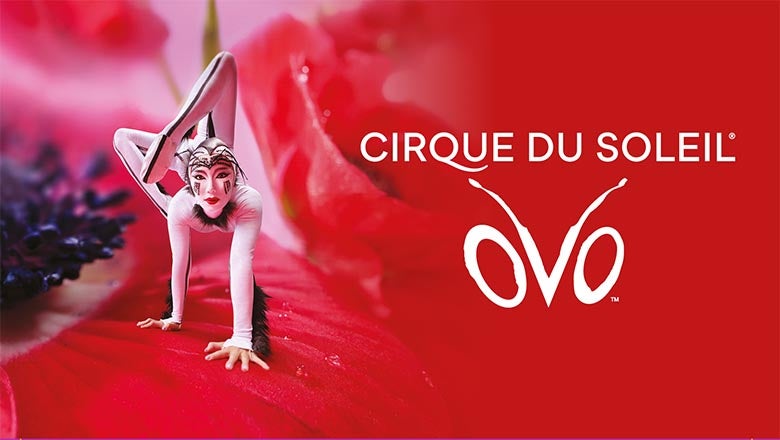 Cirque du Soleil