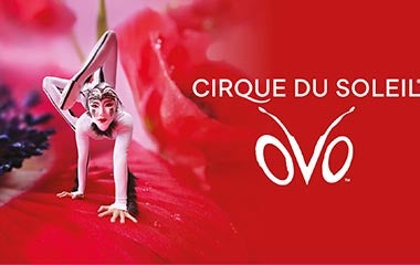 Mehr Informationen zu Cirque du Soleil