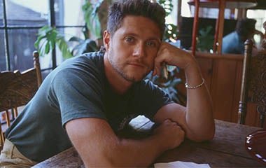 Mehr Informationen zu Niall Horan