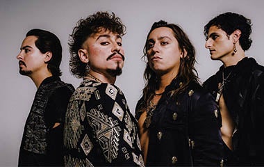 Mehr Informationen zu Greta van Fleet